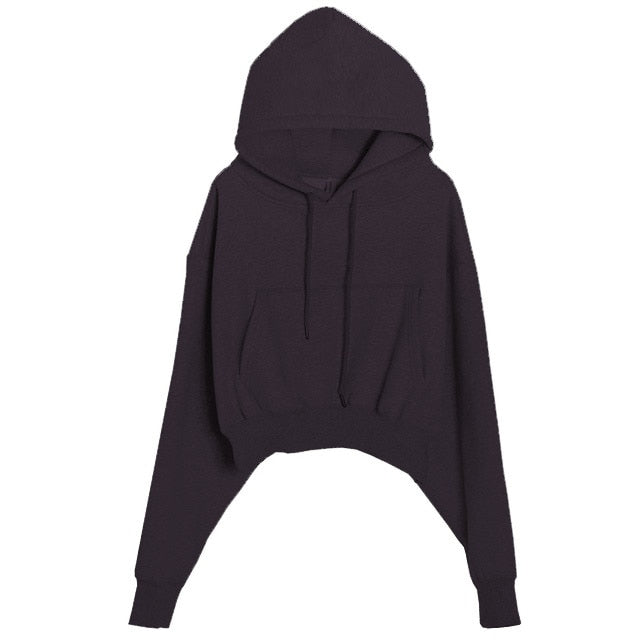 Women Hoodies Suit Solid Casual Tracksuit Velvet 2 Pcs Set Sports Sweatshirts