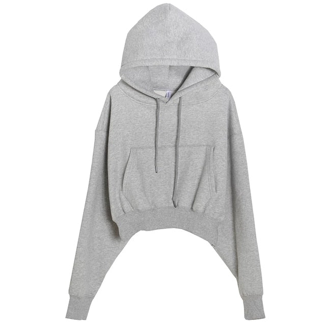 Women Hoodies Suit Solid Casual Tracksuit Velvet 2 Pcs Set Sports Sweatshirts