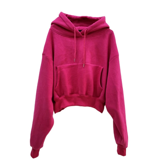 Women Hoodies Suit Solid Casual Tracksuit Velvet 2 Pcs Set Sports Sweatshirts